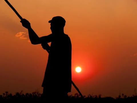 Silhouette of a Poler Stock Photos