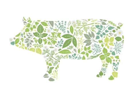 A silhouette of a pork composed of herbal patterns. Stock-Illustration