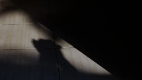 Silhouette of Praying Hands on a Sunlit Tile Floor Stock Footage 346187576