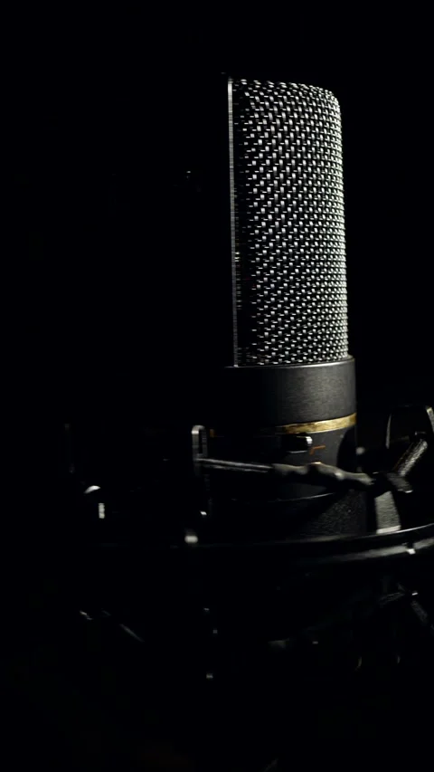 Silhouette of professional microphone. Camera moves around microphone. podcast Stock Footage 309891175
