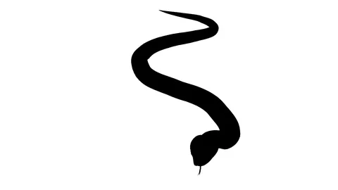 Silhouette of a python. Alpha channel. Alpha matte. FullHD. Stockbeeldmateriaal 104137530