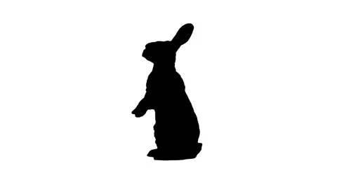 Silhouette rabbit sitting and standing up on white background. Stock Footage 335983458