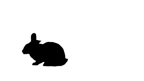 Silhouette rabbit walking and sitting on white background. Stock Footage 335983454