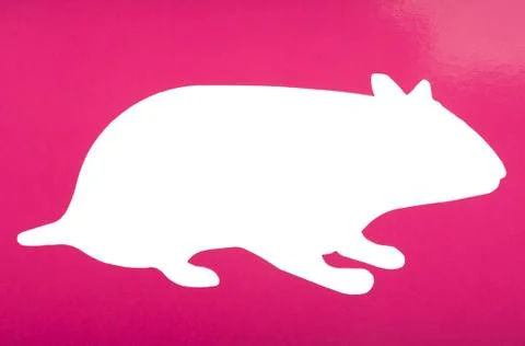 Silhouette of a rat Ilustração Stock