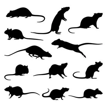 Silhouette of rat white background Stock Illustration