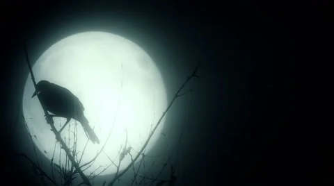 Silhouette of a raven against a full moon Stock Footage
