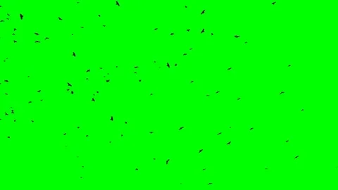 Silhouette of ravens flock fly from left to right Video stock 72626421
