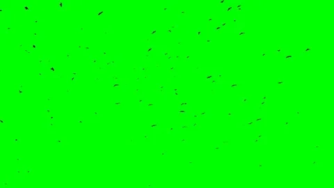 Silhouette of ravens flock fly from left to right in swirl Stock Footage 72805480