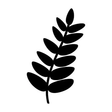 Silhouette of a Rowan Leaf isolate Stock Illustration