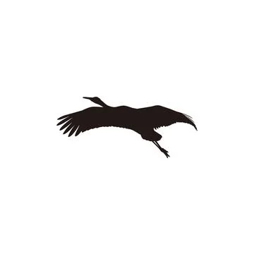 Silhouette of a sandhill crane vector Stock Illustration