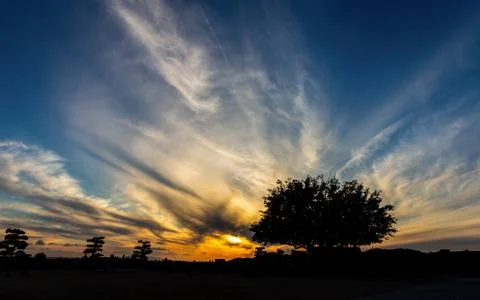 Silhouette scene of tree with dramatic sky at sunset Stock Photos