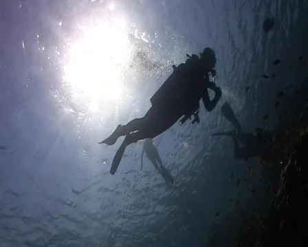 Silhouette - scuba diver Stock Footage 458524