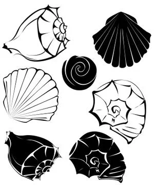 Silhouette of sea shells Stock Illustration