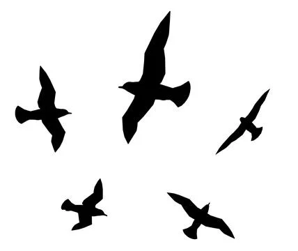 Silhouette with seagulls Stock Illustration