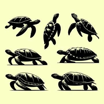 Silhouette set of turtle Illustrazione stock