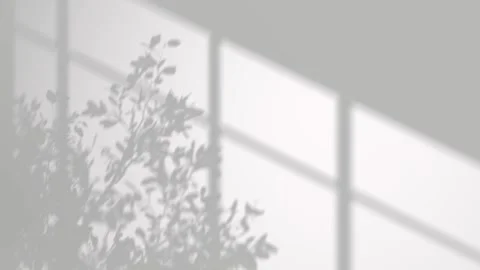 Silhouette shadow tree branches movement and window frame overlay on backgr.. Video stock 336008197