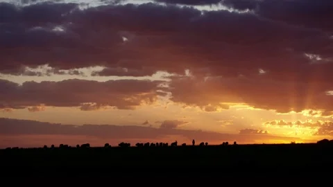 Silhouette of Shepherd at Sunset Stockbeeldmateriaal 328379166