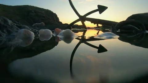 Silhouette of a ship anchor with a reflection of the seashore at sunrise Stock Footage 133023397