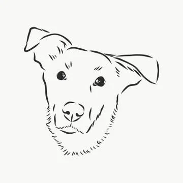 Silhouette simple head dog. Vector illustration. portrait of a dog, vector sk Stock Illustration
