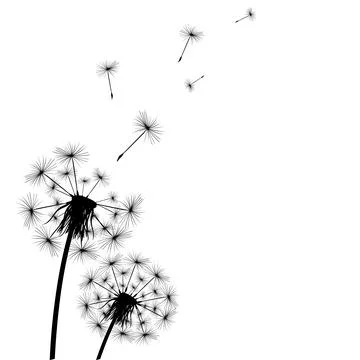 Silhouette of a simple single dandelion and ladybug Stock Illustration