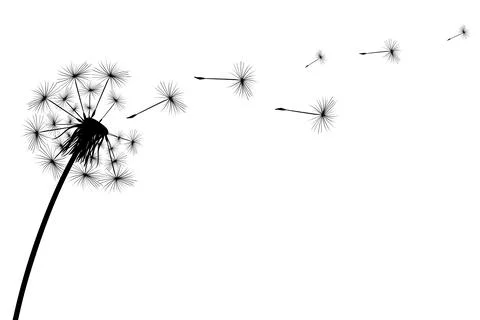 Silhouette of a simple single dandelion Stock Illustration