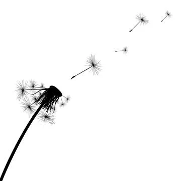 Silhouette of a simple single dandelion Stock Illustration