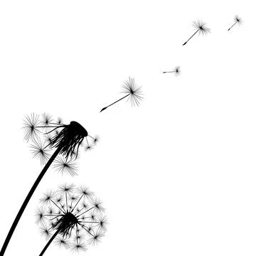 Silhouette of a simple single dandelion Stock Illustration