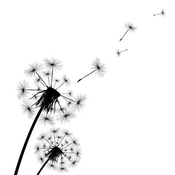 Silhouette of a simple single dandelion Stock Illustration
