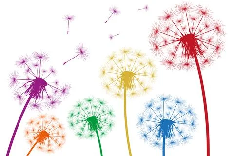 Silhouette of a simple single dandelion Stock Illustration