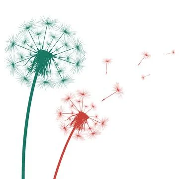 Silhouette of a simple single dandelion Stock Illustration