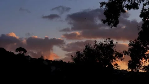 Silhouette Of A Single Wallnut Tree And Other Trees On Top Of The Hill  Stock Footage 167382643