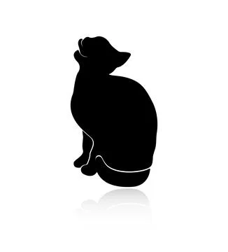 Silhouette of a sitting cat, with a reflection, cat licks itself. Tongue out. Stock Illustration