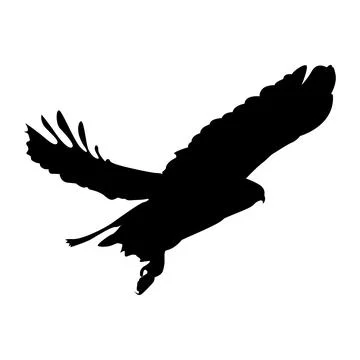 Silhouette of a soaring eagle, majestic flight, freedom symbol Stock Illustration