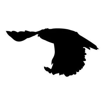 Silhouette of a soaring eagle with wings spread wide Stock Illustration