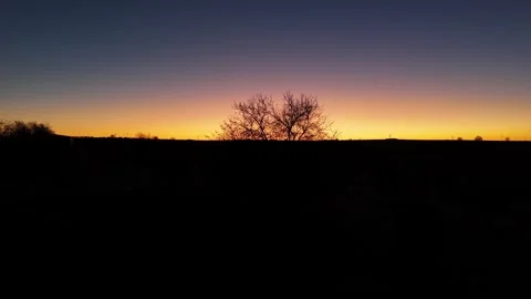 The silhouette of some trees in the field appear at dawn over a golden horizo Stock Footage 261383569