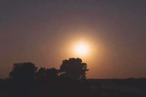 Silhouette of some trees in front of the setting sun Stock Photos