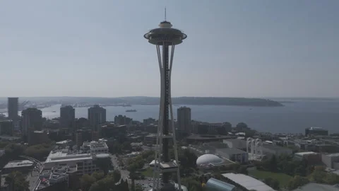Silhouette of the space needle Stock Footage 317752485