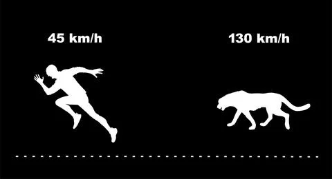 Silhouette speed compare fastest man runner VS cheetah Stock Illustration