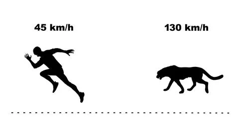 Silhouette speed compare fastest man runner VS cheetah Stock Illustration