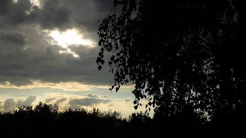 Silhouette Of Spring Tree With Beautiful Sunset Sky Stock Footage 80477788