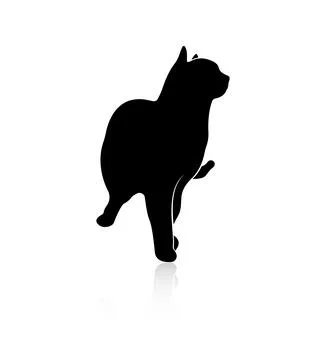 Silhouette of a standing cat, with a reflection Stock Illustration