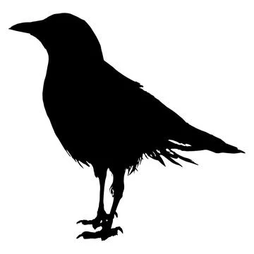 A silhouette of a standing crow Illustrazione stock