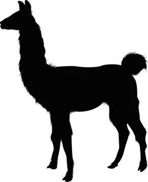 Silhouette of a standing llama on a white background Stock Illustration