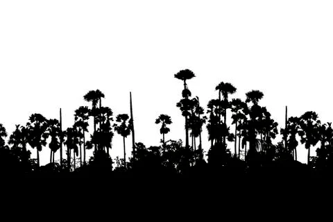 Silhouette sugar palm Stock Illustration