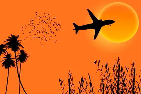 Silhouette sun  plane trees Stock Illustration