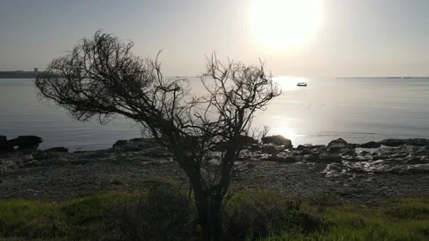 Silhouette at sunrise Video stock 149447331