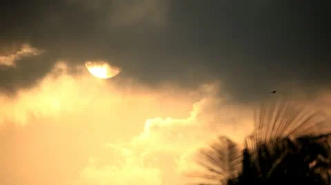 Silhouette Sunset Stock Footage 12300058