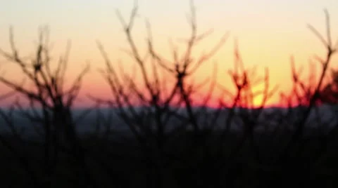 Silhouette in the sunset Stock Footage 51722483