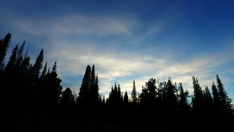 Silhouette Sunset Stock Footage 131463444