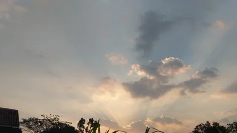 Silhouette of sunset light Video stock 205247596